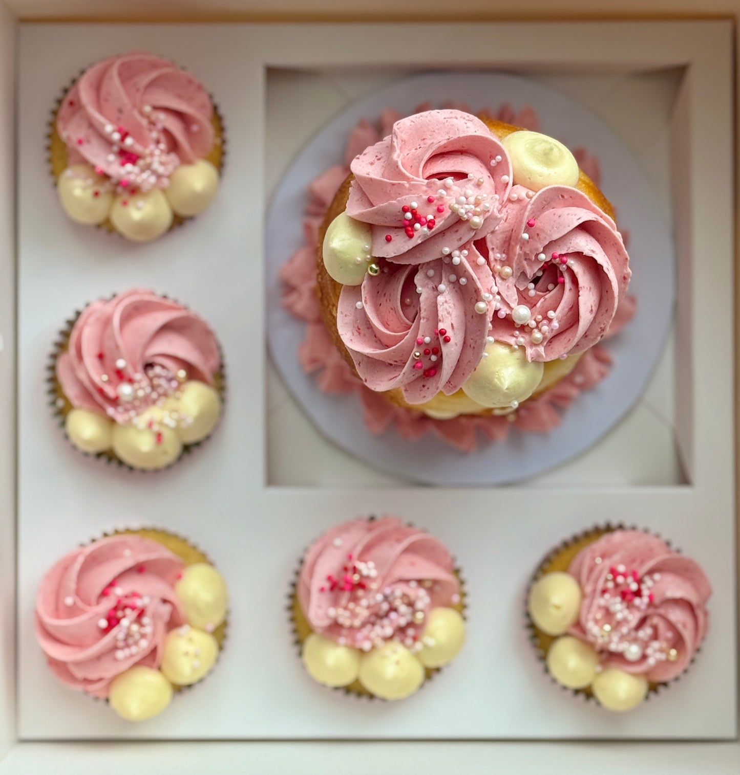 Bento Cake Box