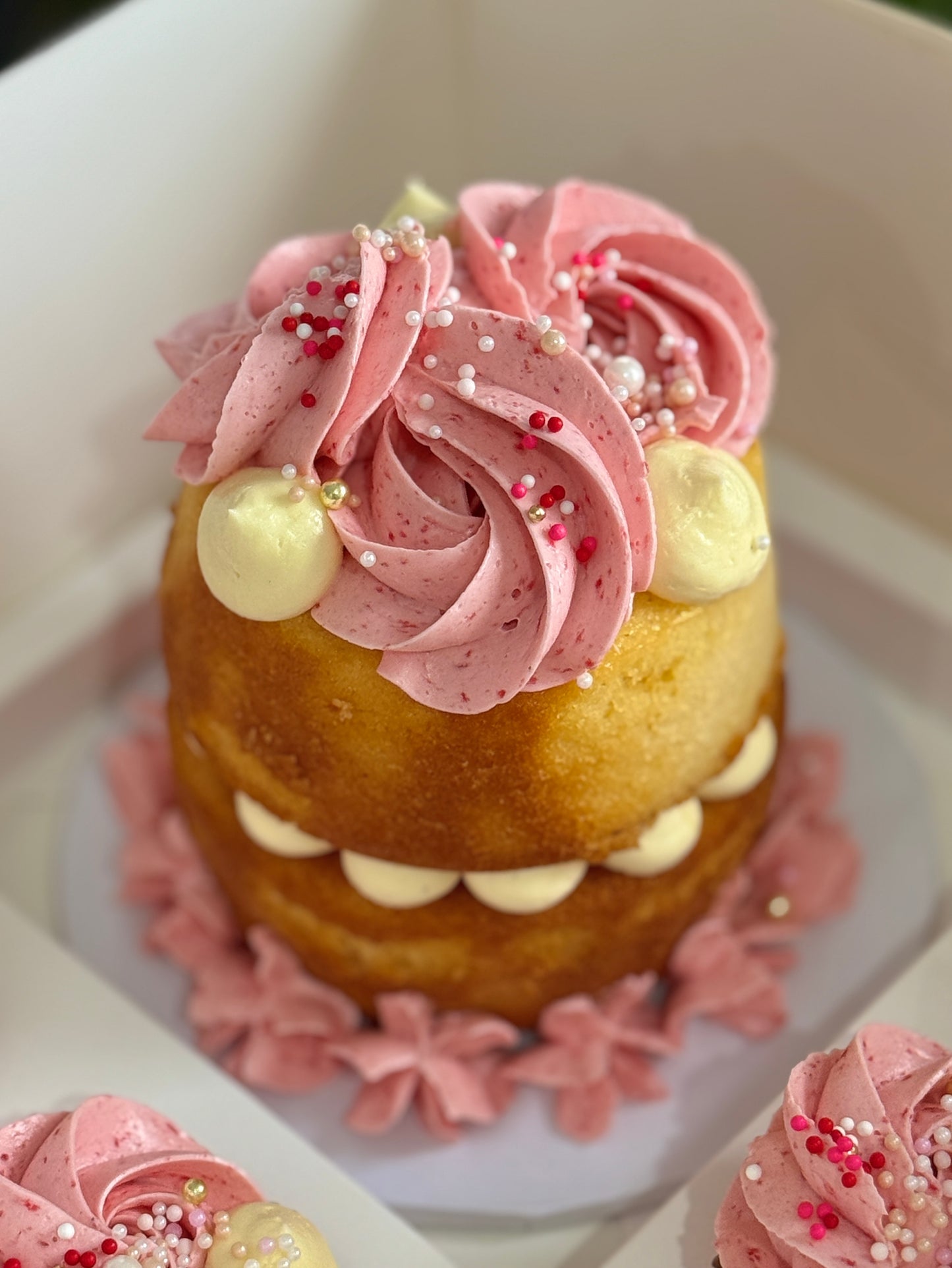 Bento Cake Box