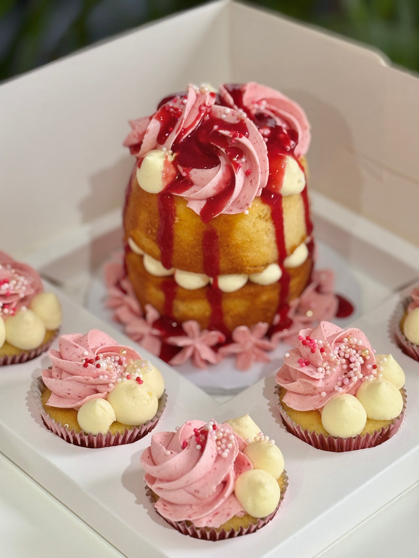 Bento Cake Box